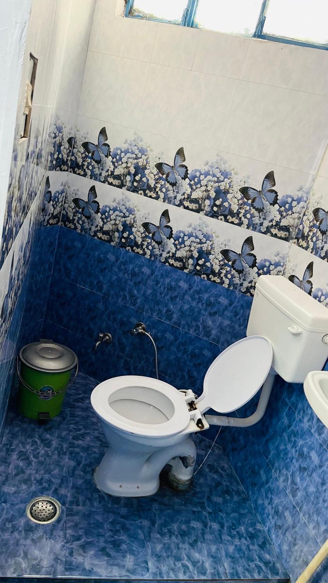 Mayur Guest House Puskár Kültér fotó